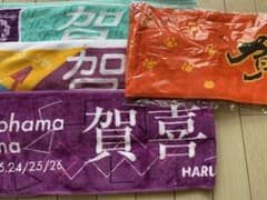 せきとうと様専用②のサムネイル