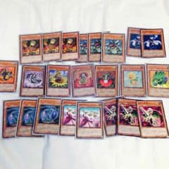遊戯王   植物デッキのサムネイル