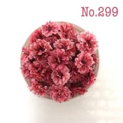 かすみ草　オールドローズ　ドライフラワー　No.290 かすみ草 オールドローズ ドライフラワー No.299 - メルカリ