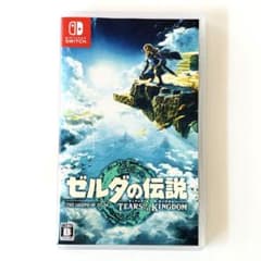 젤다의 전설 티어즈 오브 더 킹덤 Nintendo Switch