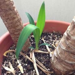 Yuka様 専用のサムネイル