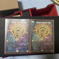 パーフェクトペテンシー 2枚 - メルカリ