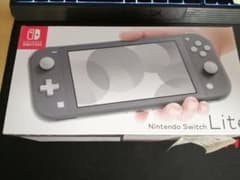 Nintendo Switch Lite グレー 中古美品　カバー付きのサムネイル
