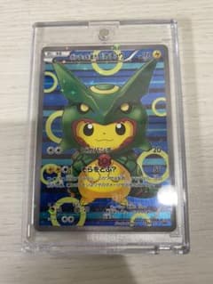 miさん専用　即購入NG❌ポンチョを着たピカチュウ　レックウザ　そのサムネイル