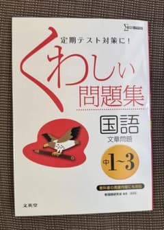 定期テスト対策に！ くわしい問題集 国語 文章問題 中学1〜3年のサムネイル