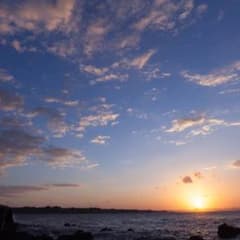【せな様専用】のサムネイル