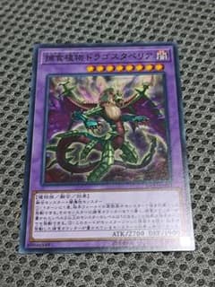 遊戯王 捕食植物ドラゴスタペリアのサムネイル
