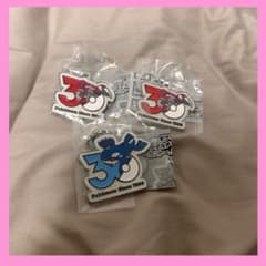 ポケモン メタルチャームマスコット 30周年 グラードン カイオーガ