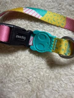 zeedog マルチカラー 犬用首輪のサムネイル