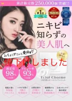 エクラシャルム 60g オールインワン メディアハーツのサムネイル