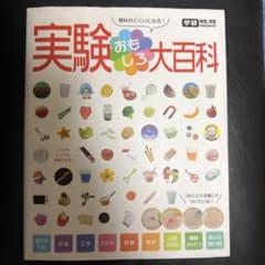 実験おもしろ大百科、小学館の図鑑NEO 昆虫・恐竜・動物図鑑他 - メルカリ