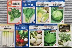 野菜の種【タキイ】秋冬春☆美味しい9種類セット＋おまけ1種類《値下げ中》のサムネイル
