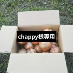 chappy様専用のサムネイル