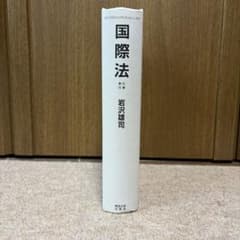 国際法 岩沢雄司 東京大学出版会のサムネイル