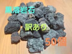 【訳あり】黒溶岩石　大粒　50個　ビバリウムに最適のサムネイル