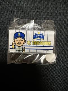 ホークス 若鷹ガチャ 鷹の祭典ver バッジ 谷川原健太 - メルカリ