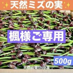 白芽里芋20kg 赤芽里芋親芋4kg | Shop at Mercari from Japan