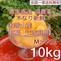 28.和歌山産の減農薬甘夏(あまなつ)10キロご家庭用★M〜大玉混合★木なり新鮮のサムネイル