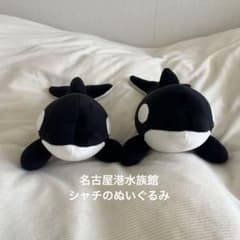 名古屋港水族館 シャチぬいぐるみ - メルカリ