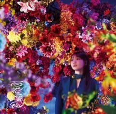 기타 리라 백화요란 통상반대 첨부
