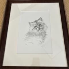 猫の鉛筆画 八代亜紀作 木製フレーム付き 猫の鉛筆画 八代亜紀作 木製フレーム付き - メルカリ