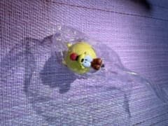 ガーフィールドめじるしアクセサリーのサムネイル