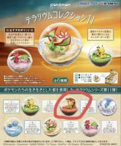 ポケモン テラリウムコレクション　ヒメグマ　リーメントのサムネイル