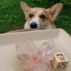 確認用のサムネイル