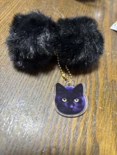 にゃんたますこっと　クロのサムネイル