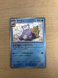 Polastar様 リクエスト 2点 まとめ商品のサムネイル