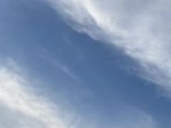SO⭐︎HO様専用　②のサムネイル