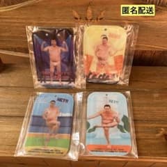 어쨌든 밝은 안촌 아크릴 열쇠 고리 4 종