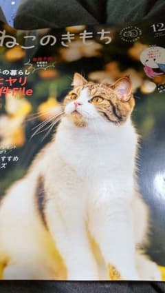 ねこのきもち１２月号のサムネイル