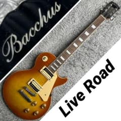 Bacchus Live Road レスポールタイプ - メルカリ