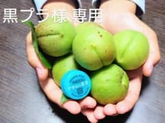 黒プラ様 専用♪のサムネイル
