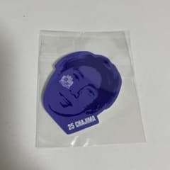 サンフレッチェ広島　茶島雄介のサムネイル