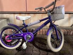 幼児用自転車のサムネイル