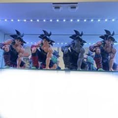 SMSPバーダック　4体セット　BWFC10th SMSPバーダック 4体セット BWFC10th - メルカリ