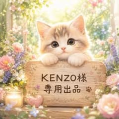 KENZO様おまとめ　計14点（2L×9、A4×5） KENZO様専用おまとめ5点（2L×3 A4×2） - メルカリ