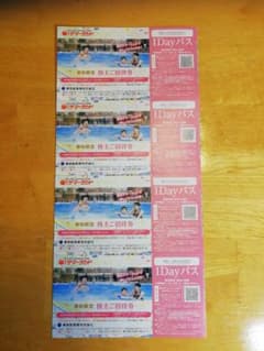 東京サマーランド　株主ご招待券　1Dayパス　4枚のサムネイル