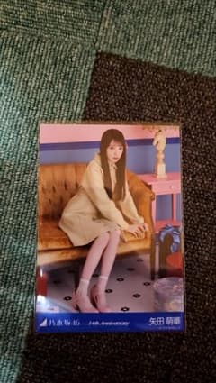 乃木坂46　矢田萌華　生写真　14th anniversary　座りヒキのサムネイル