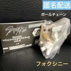 SKZOO つまんでつなげてますこっと フォクシニー✖️ジニレットのサムネイル
