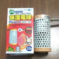 保温電球のサムネイル