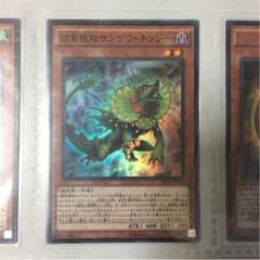 サンデウキンジーのサムネイル