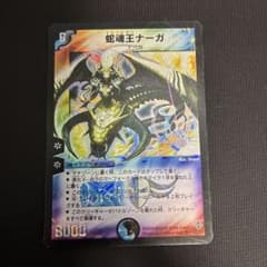 蛇魂王ナーガ　2004年