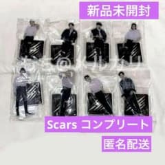 straykids SCARS アクスタセット - メルカリ