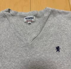 Gymplex グレー Vネック Tシャツ ピチTのサムネイル