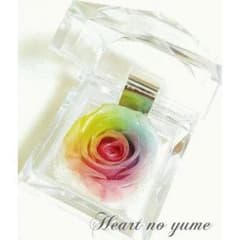 高級プリザーブドフラワー】パステルレインボーローズ ジュエリー