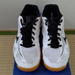 ワシントンさん専用mizuno バレーボール 24.5cmのサムネイル