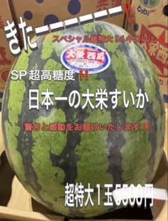 本日大サービスきたー‼️5500→ジャスト5000円日本一の大栄すいかSP特大3 本日大サービスきたー‼️5500→ジャスト5000円日本一の大栄すいかSP
